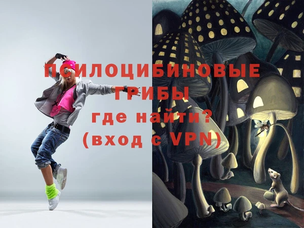 тгк Горняк