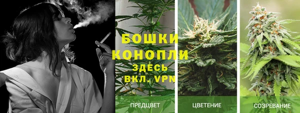 тгк Горняк