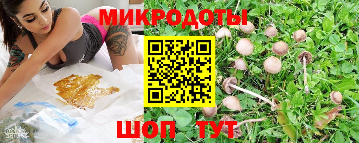 Псилоцибиновые грибы Psilocybine cubensis Воронеж