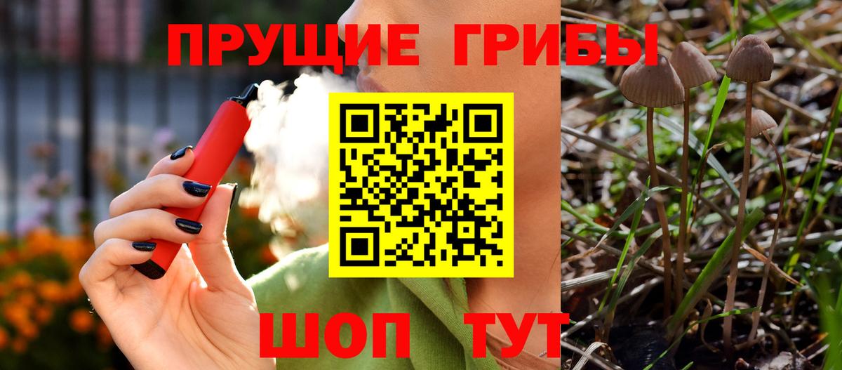 Псилоцибиновые грибы Psilocybe  Воронеж 