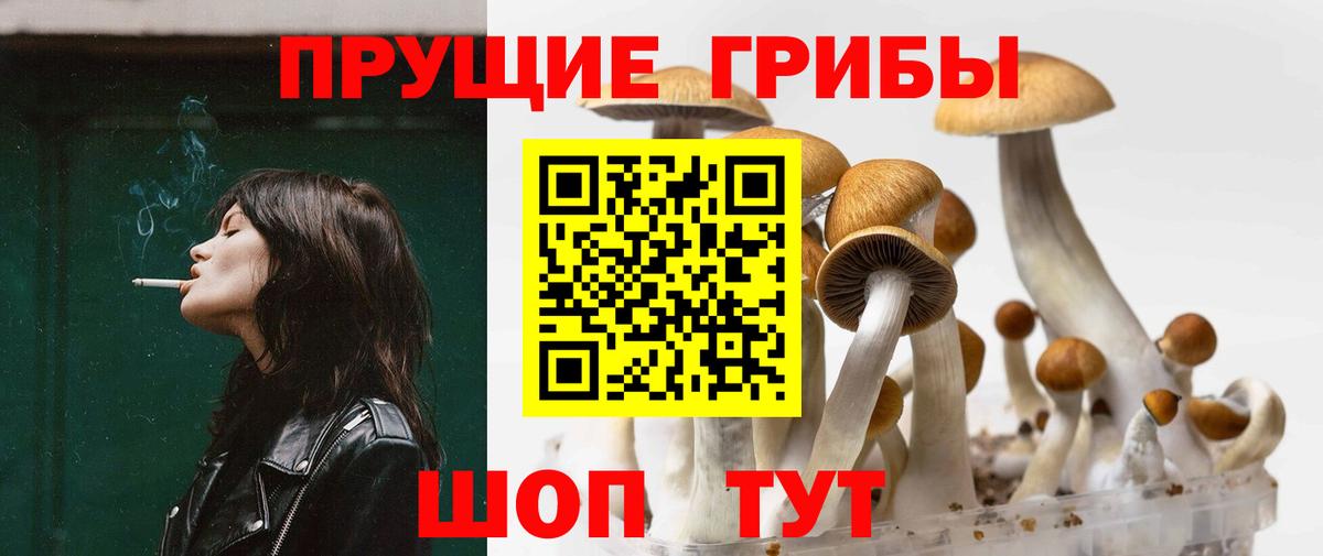 хочу   Вход с VPN  Воронеж  Галлюциногенные грибы Psilocybe  Псилоцибиновые грибы MAGIC MUSHROOMS 